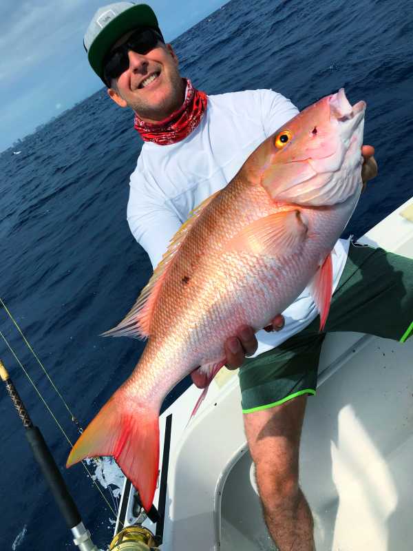 Mutton-Snaper-Islamorada