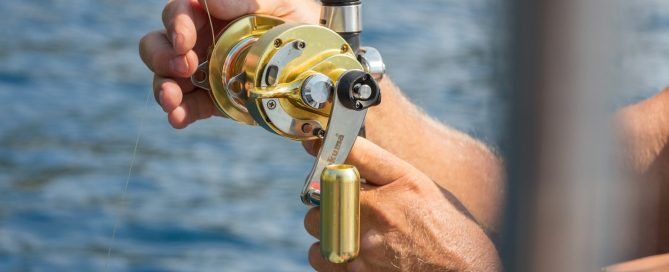 Islamorada Sailfish Tournament